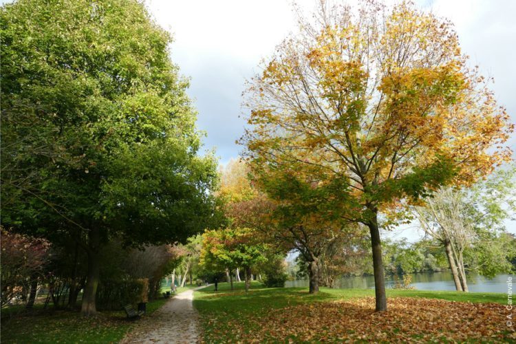 Parc Corbière