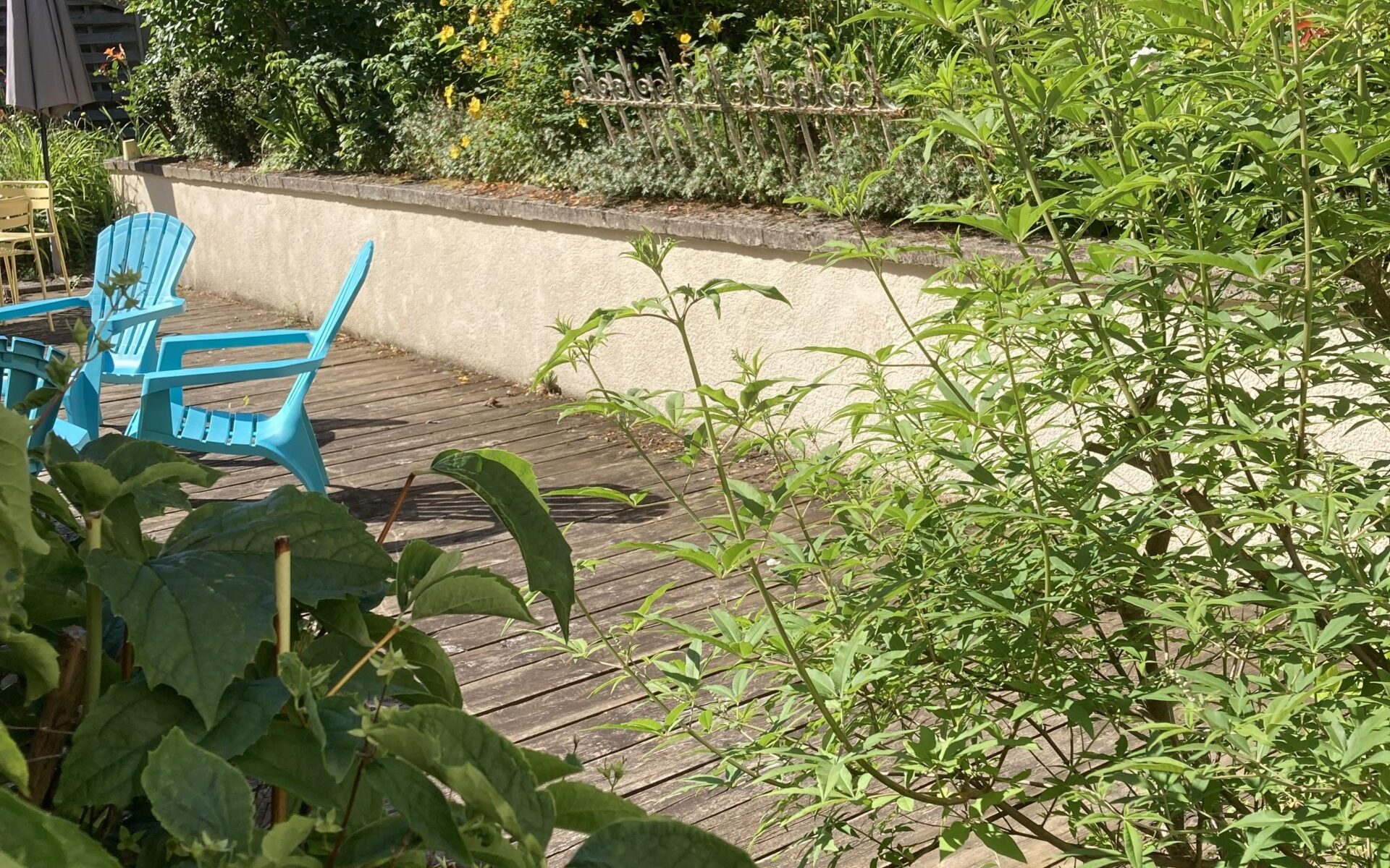 Terrasse
