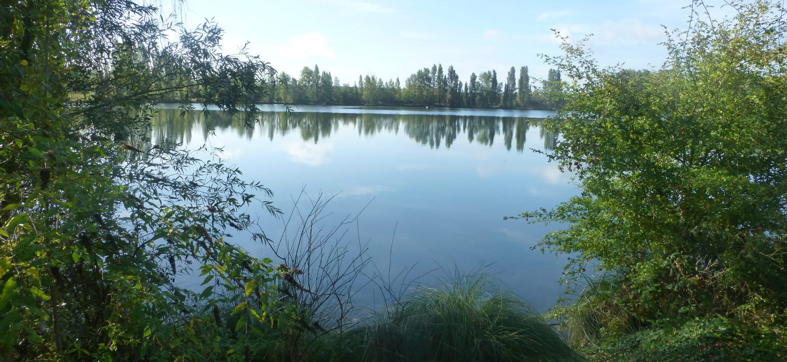 Etang de l'Ilon