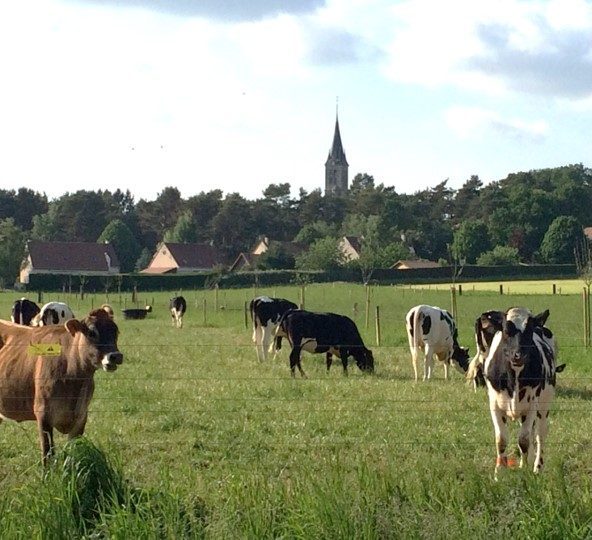 Ferme de la Tremblaye