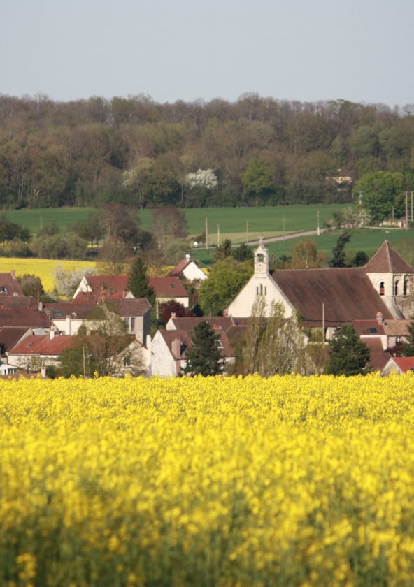 Fontenay-Saint-Père