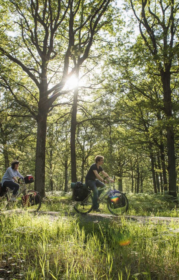 Forest Bike Rambouillet