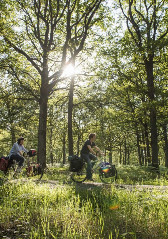 Forest Bike Rambouillet