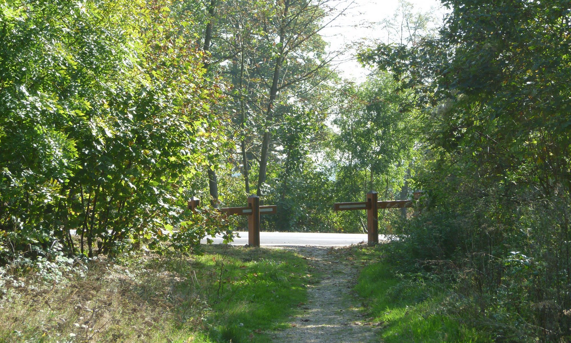 Forêt de Marly-le-Roi