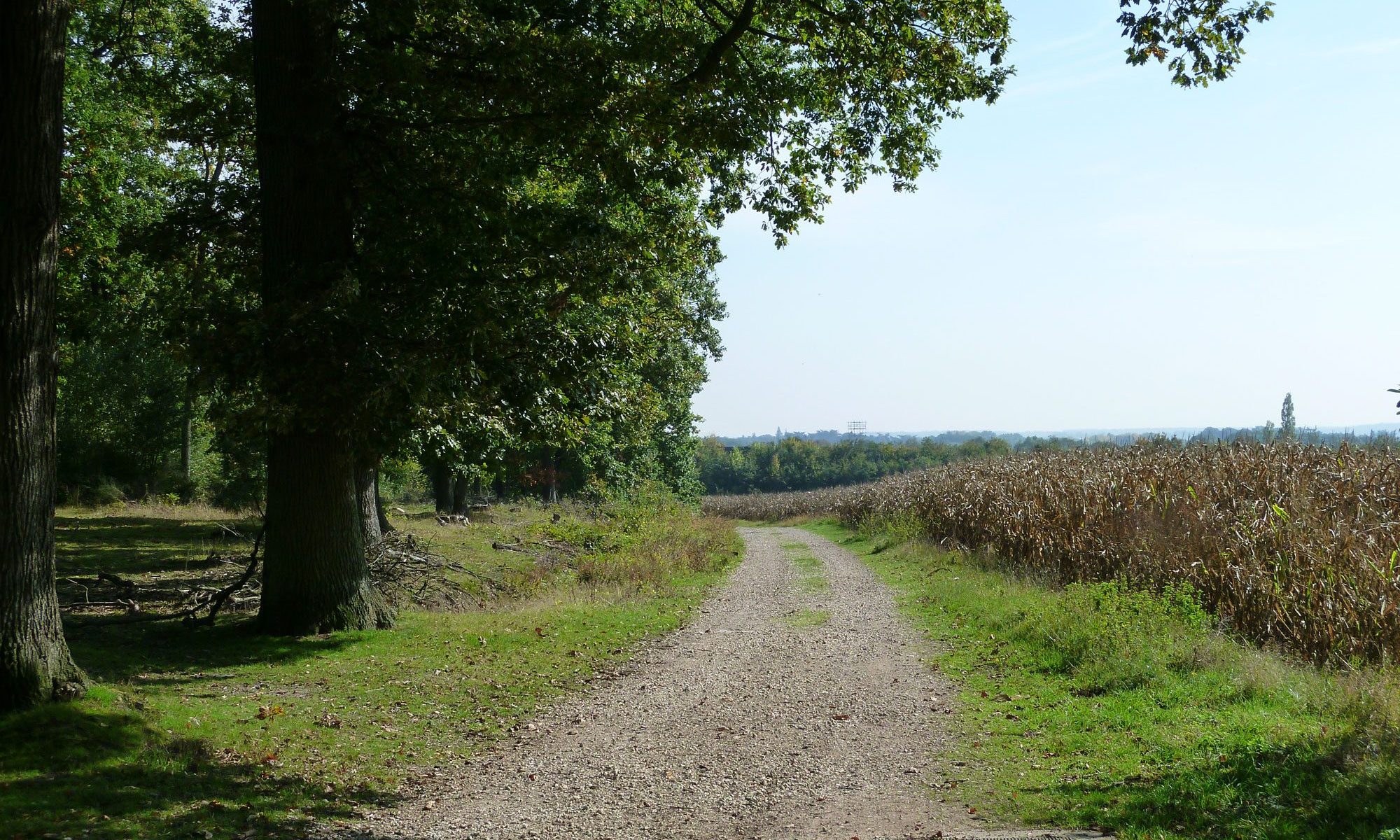 Forêt de Marly-le-Roi