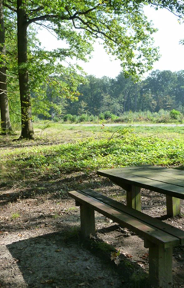 Forêt de Marly-le-Roi