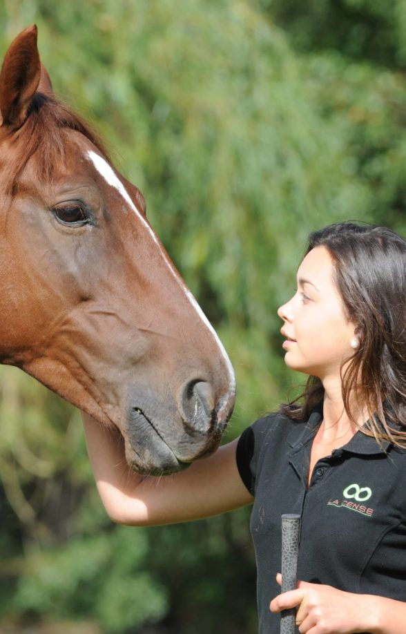 Haras de la Cense