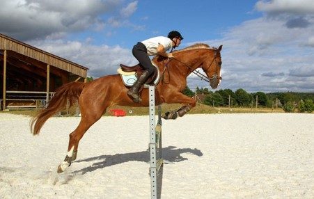 Haras des Terres Rouges