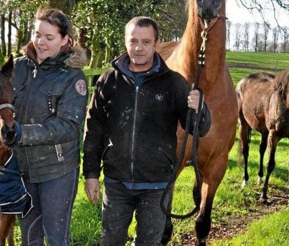 Haras du Petit Paris