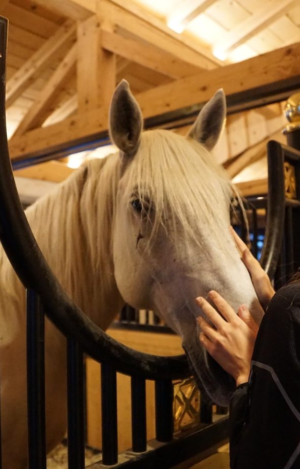 Poney-Club de Marly-le-Roi