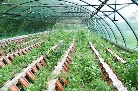 Ferme pédagogique du Colimaçon à Oinville-sur-Montcient_Oinville-sur-Montcient