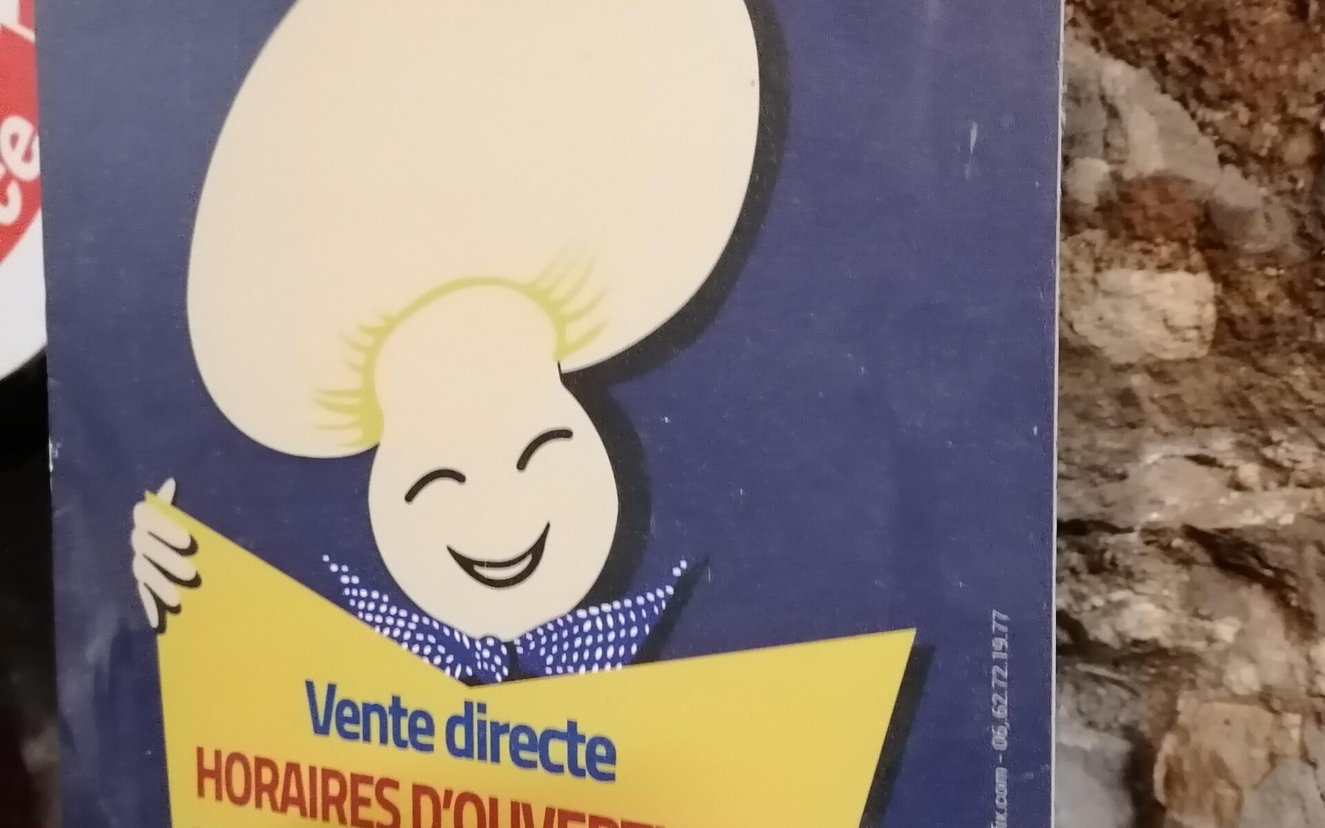 Champignonnière Des Carrières_Évecquemont