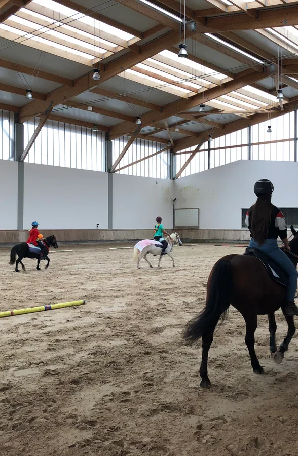 Société d'équitation de Vernouillet_Vernouillet