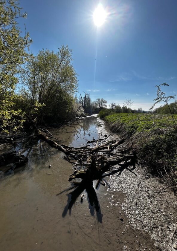 Biotope du Bout du Monde_Épône