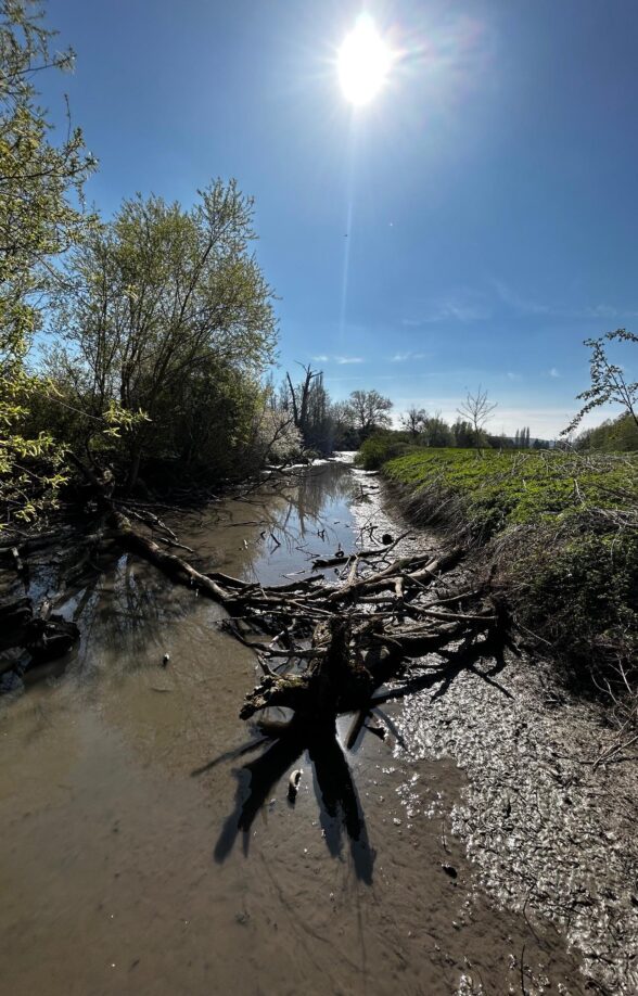 Biotope du Bout du Monde_Épône