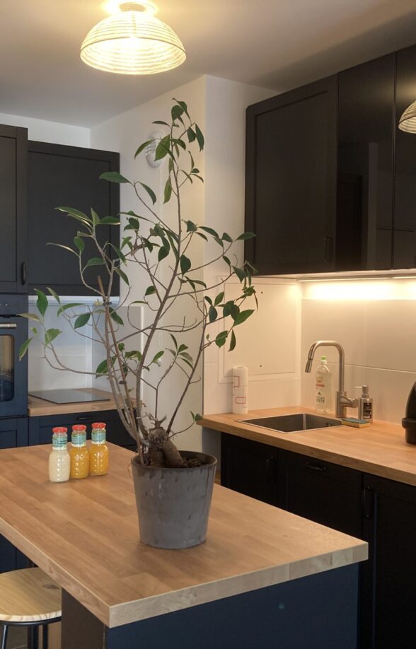 meublé à louer à Saint Germain en Laye