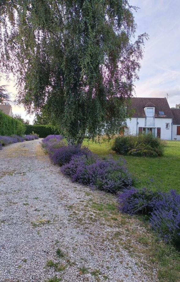 Le Jardin d'Orelle_Gressey
