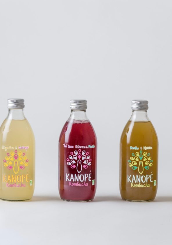 Kanopé Kombucha