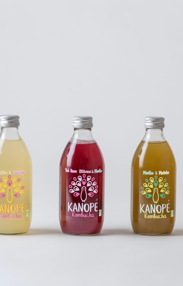 Kanopé Kombucha