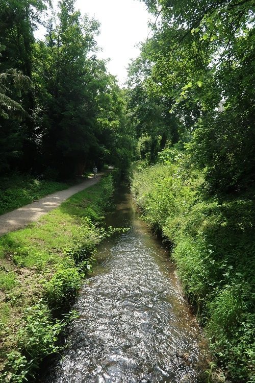 La Bièvre à Bièvres