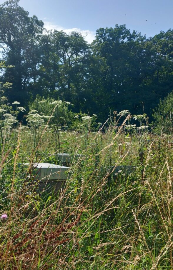 La Ferme des Clos_Bonnelles