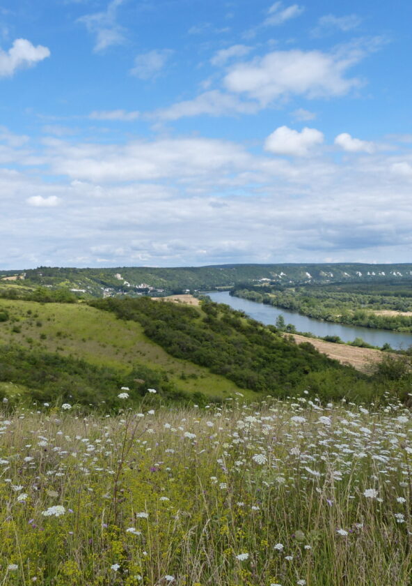 Vallée de la Seine