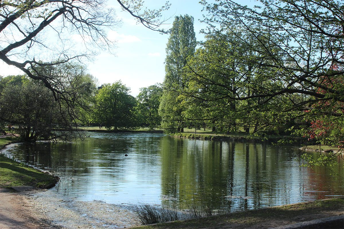 Lac des Ibis Le Vésinet