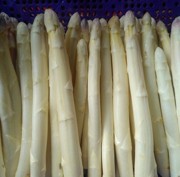 Les asperges de Simon