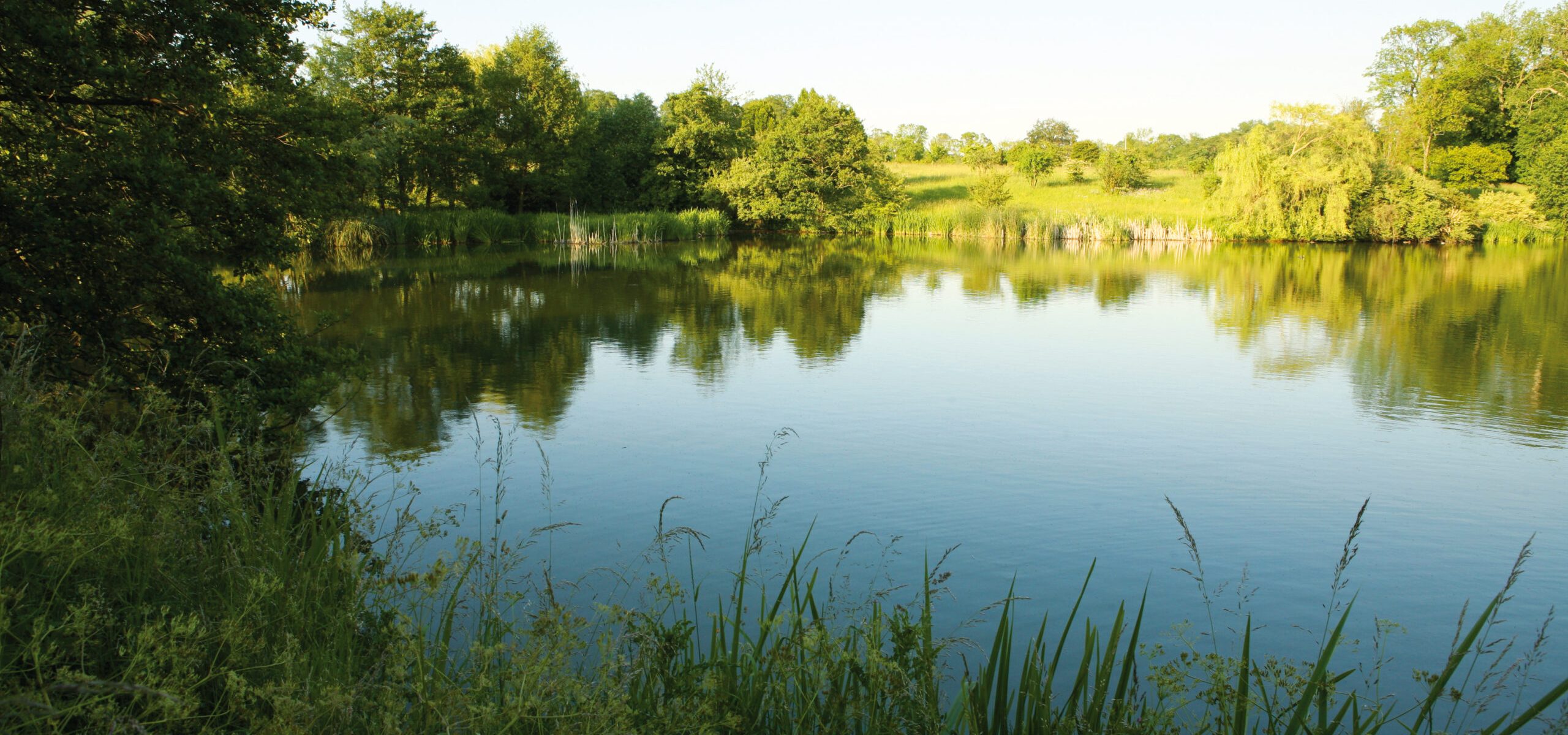 Etang