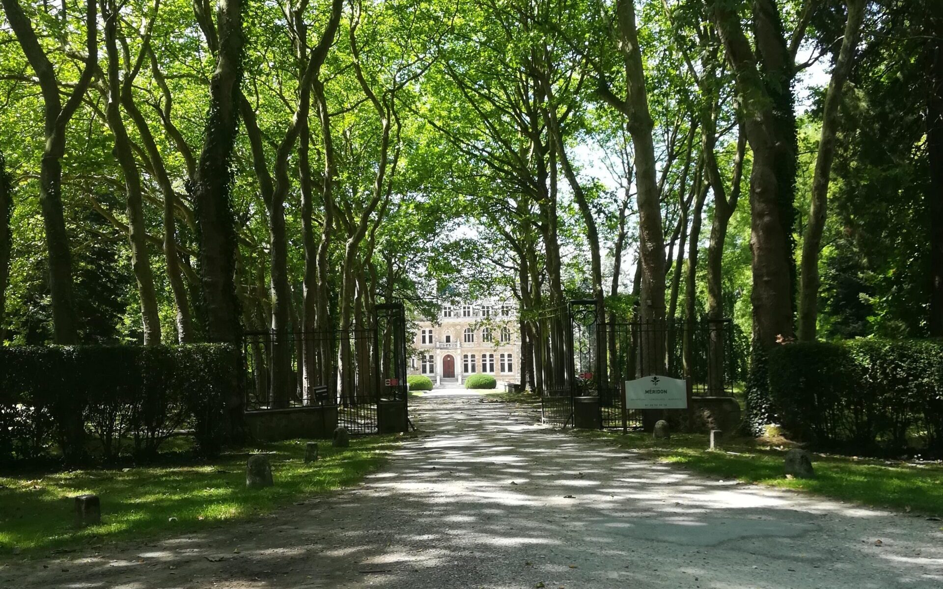Forêt départementale de Méridon_Chevreuse
