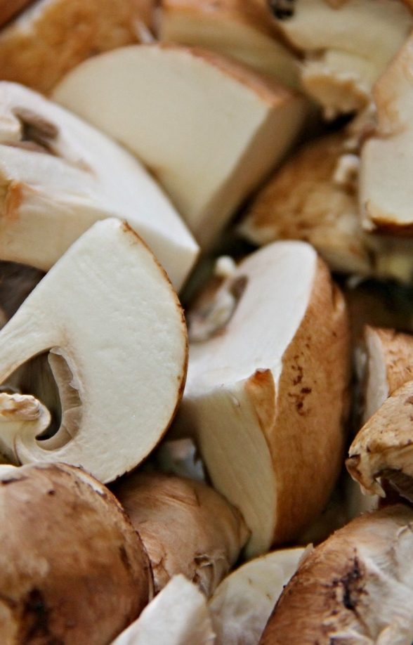 Shoua-Moua Vang - producteur de champignons