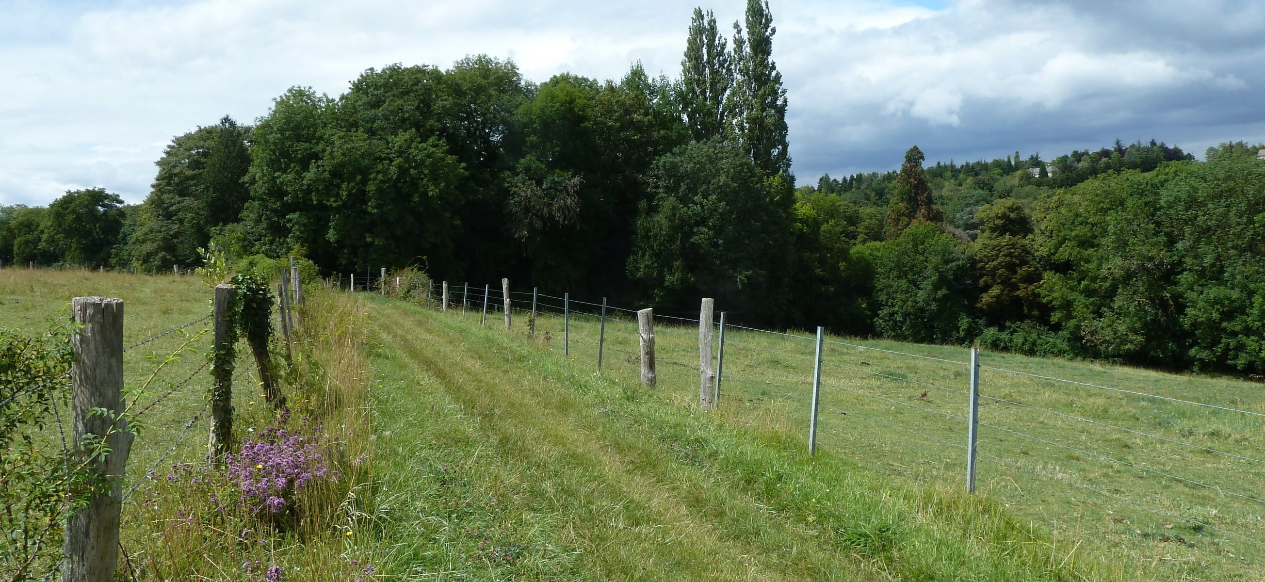 Chemin de randonnée