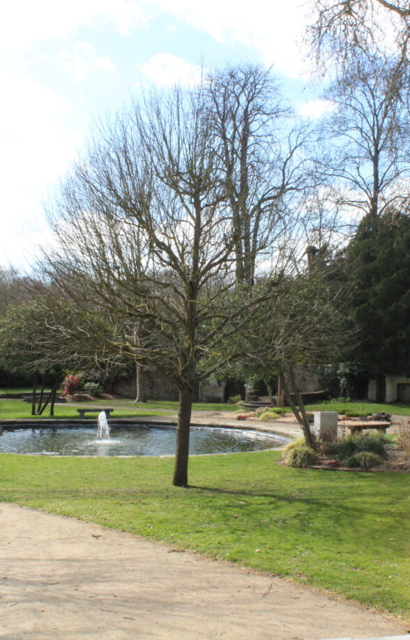 Jardins du Palais du roi de Rome