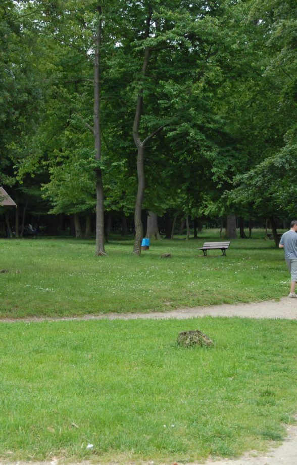 Parc de la Charmille