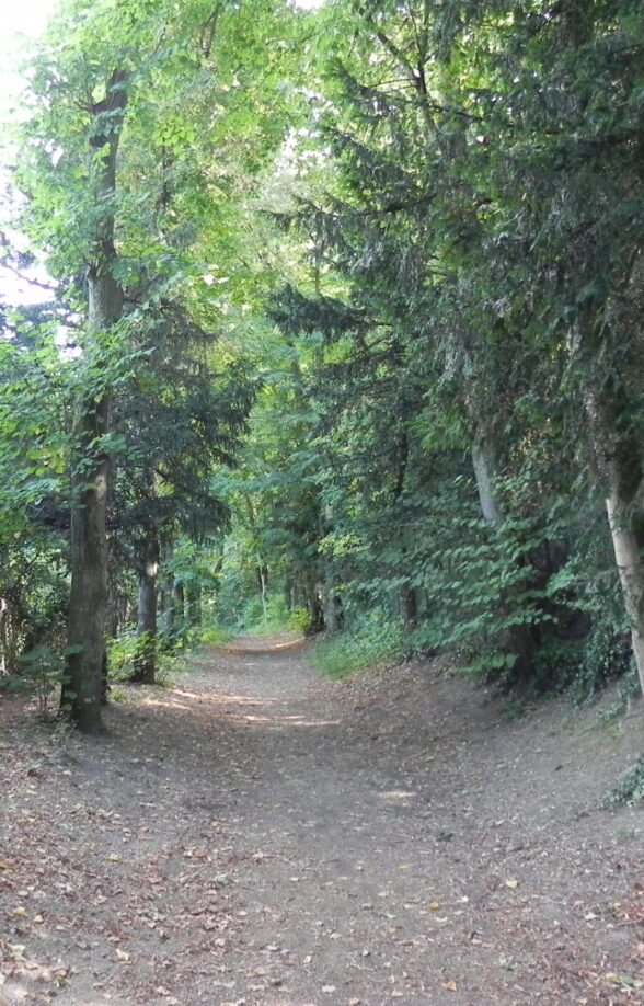 Parc de la Jonchère - Colline des Impressionnistes_Bougival