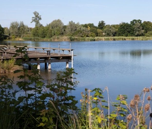 Parc départemental de la Boucle de Montesson