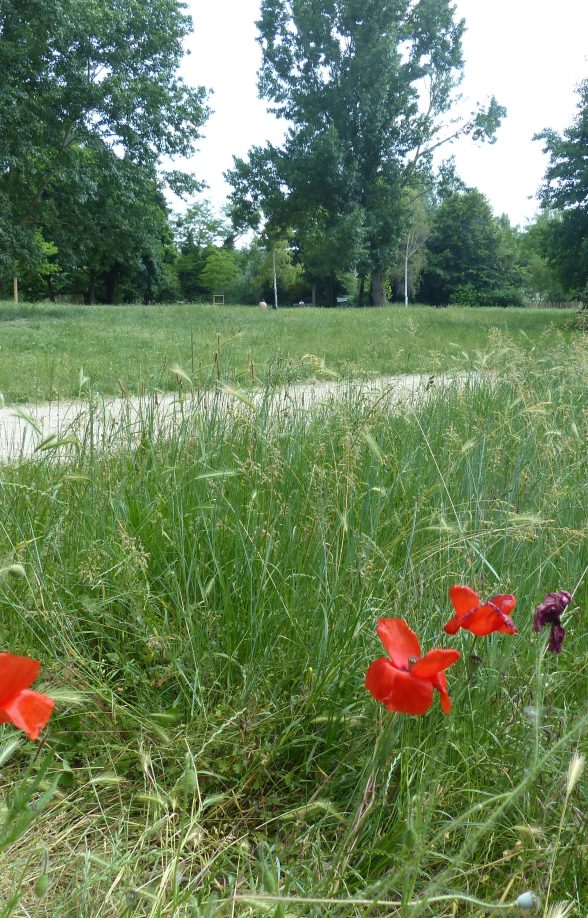 Parc de l'Ile des Impressionnistes à Chatou