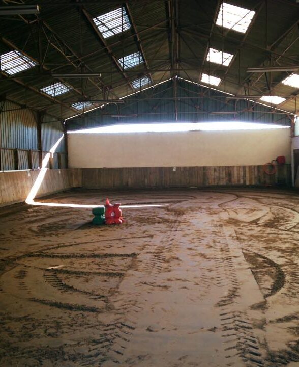 L'écurie d'Alex_Hermeray