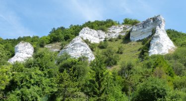 Réserve naturelle nationale des Coteaux de la Seine