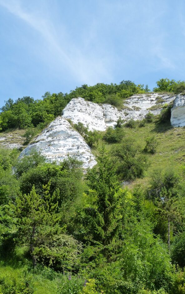 Réserve naturelle nationale des Coteaux de la Seine