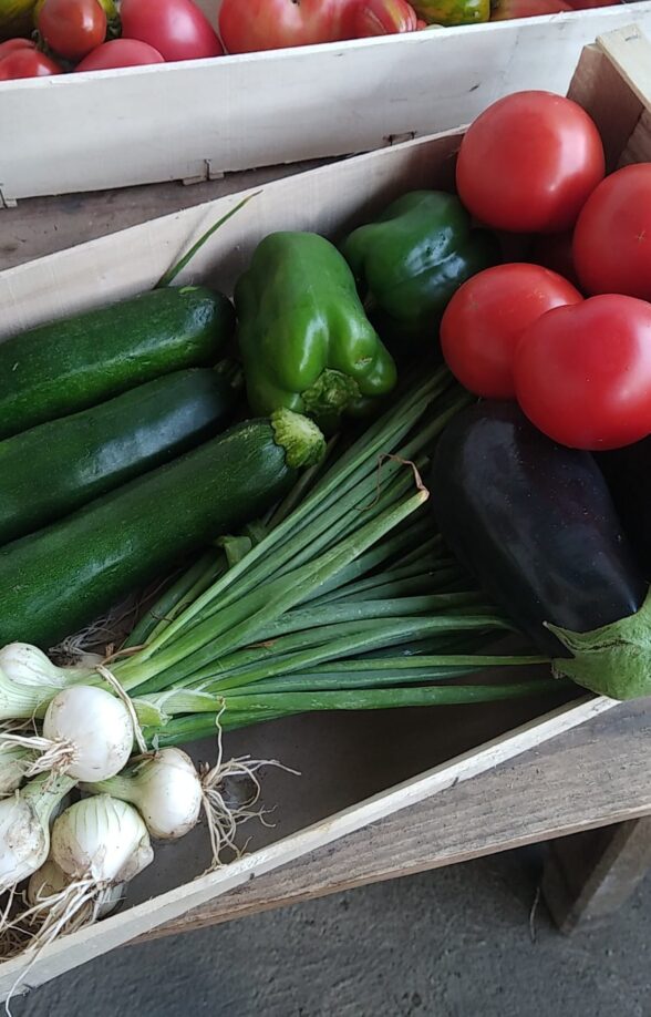 Le Potager de l'Epinay_Orcemont