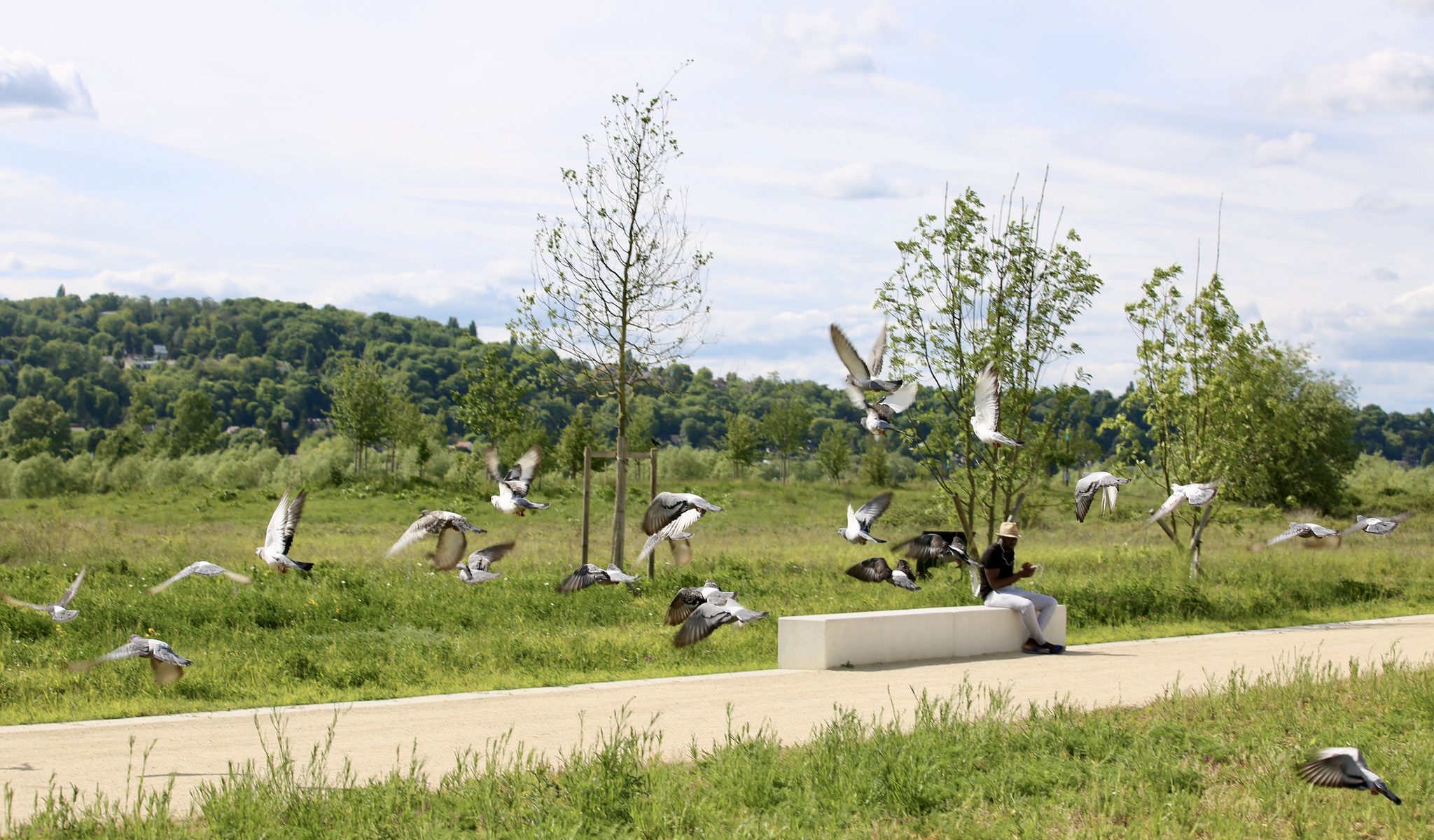 Parc du Peuple de l'Herbe - Oiseaux