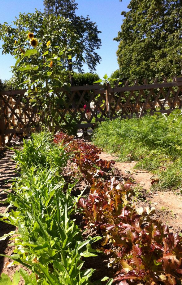 Potager Chanorier