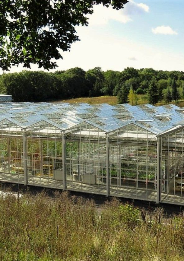 Serres des Princesses, Lycée Horticole et Agricole de Saint-Germain-en-Laye