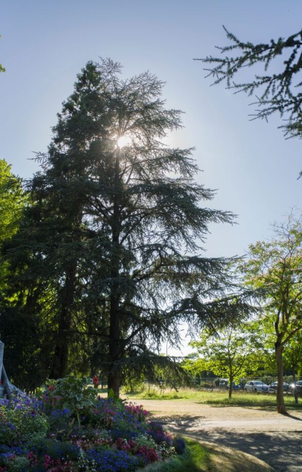 Parc Meissonier_Poissy