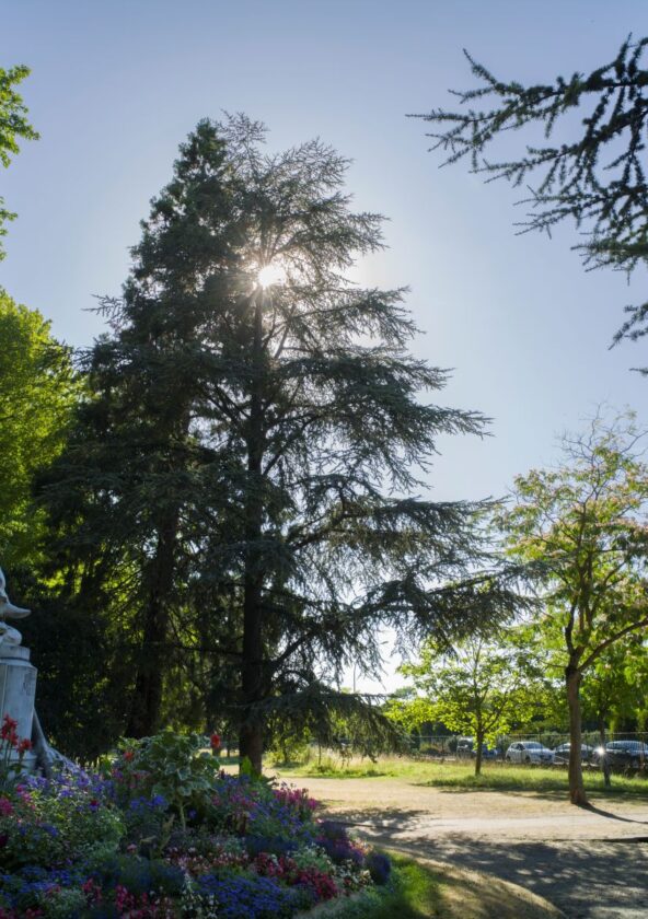 Parc Meissonier_Poissy