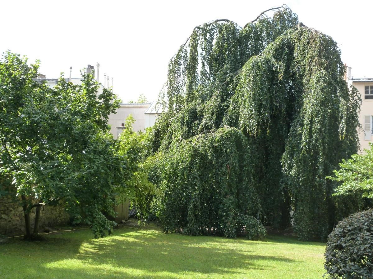 A l'Orangerie White Palacio