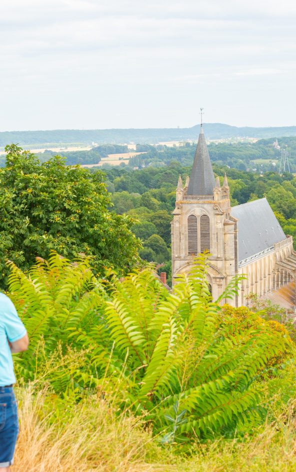 Montfort l'Amaury depuis la tour Anne de Bretagne