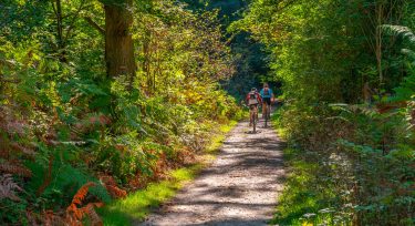 Cyclisme à Rambouillet