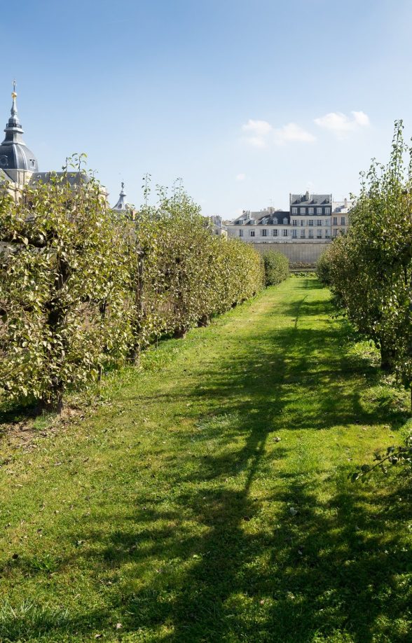Potager du roi